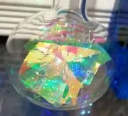みぃの画像
