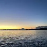 ボナール190の画像