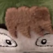 はっぱ隊長の画像