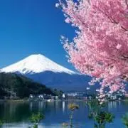 つかさ☆の画像
