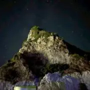 ゆの画像