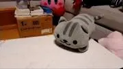 こたの画像