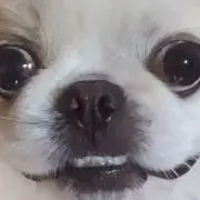 こ。