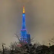 caruの画像