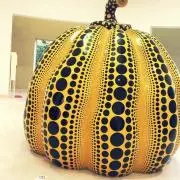 Miniの画像