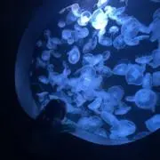 はるママの画像
