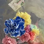 yna.s0314の画像