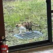 結衣の画像