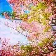 taa プロフ必読の画像