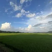 うぉんの画像