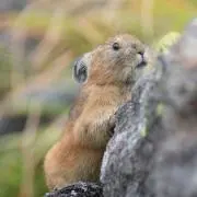 る〜