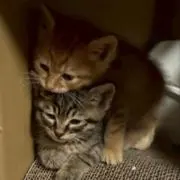 さちこ(プロフ必読)の画像
