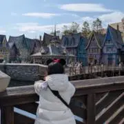 おさかなの画像