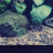 けいの画像