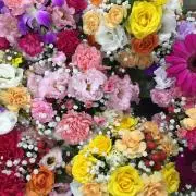 Mi_ykn♡冬物大幅値下げ中＊の画像