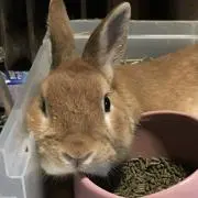 かーくんsp