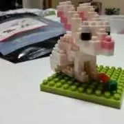 ラビット