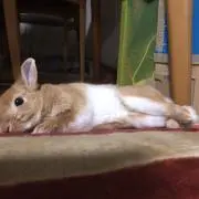 あ