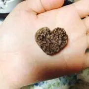 (•ө•)♡