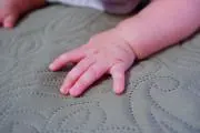 かやの画像