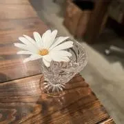 Miiの画像