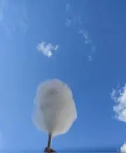 れにの画像