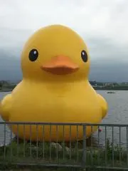 ふみふみの画像