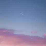 ぷうの画像