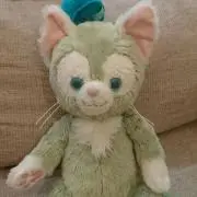 ジルcat