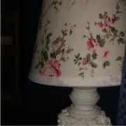 シャモ