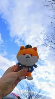 ポッキー