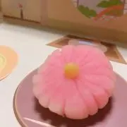 HANAの画像