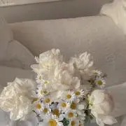 haruruの画像