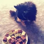 本日まで。明日処分します