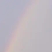 わらびもちの画像
