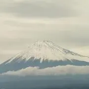 さなんの画像