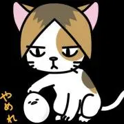 こっちゃんの画像