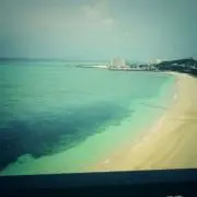 えぬやん