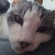 momo(⁠◍⁠•⁠ᴗ⁠•⁠◍⁠)⁠❤の画像