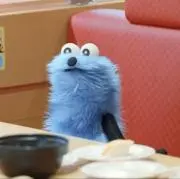 Pの画像