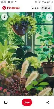 椿
