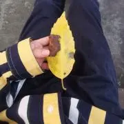 壇之浦