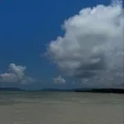 さつまろの画像
