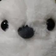 mixの画像