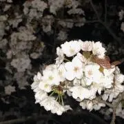 R♡の画像