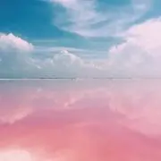 Image of T T