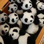 みかんの画像