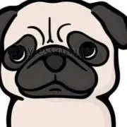 pug