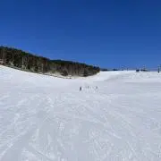 312Userの画像