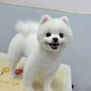 なつき